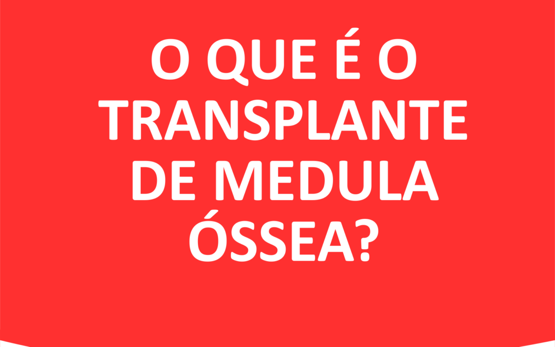 O que é o transplante de medula óssea?